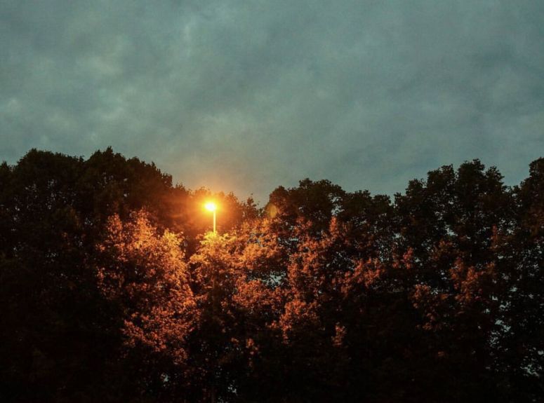 Photo 24.02.18, 14 25 28_preview